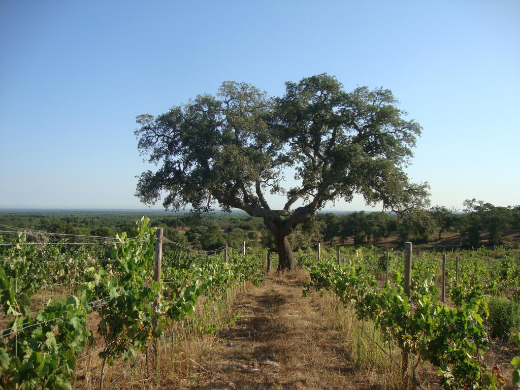 A Serenada Enoturismo Grândola Buitenkant foto