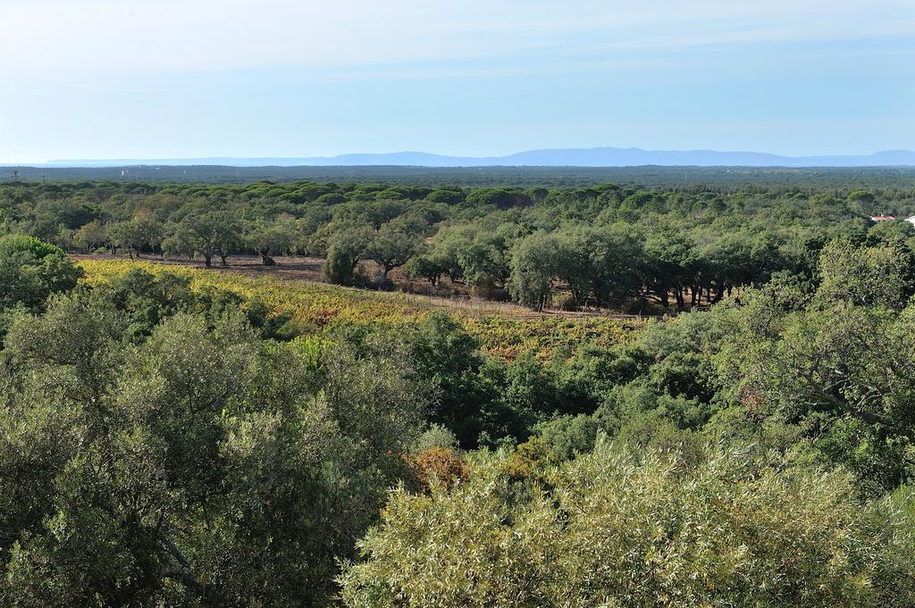 A Serenada Enoturismo Grândola Buitenkant foto